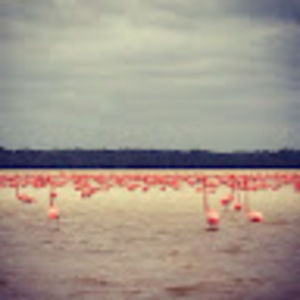 Meet your Posher, Dominique